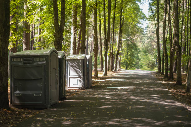 Best Porta potty rental for parties  in Ixonia, WI